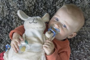Moonlight Baby Sleep Consultant Melbourne - sleepytot comforting toy with dummies